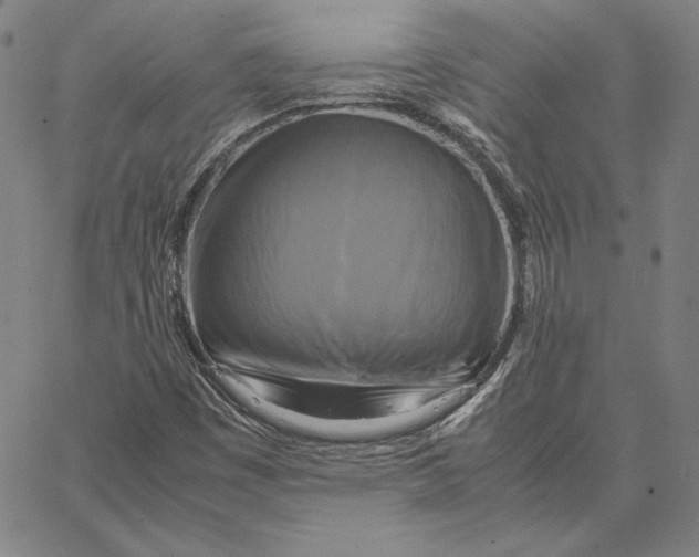 X0000066521449200604071540