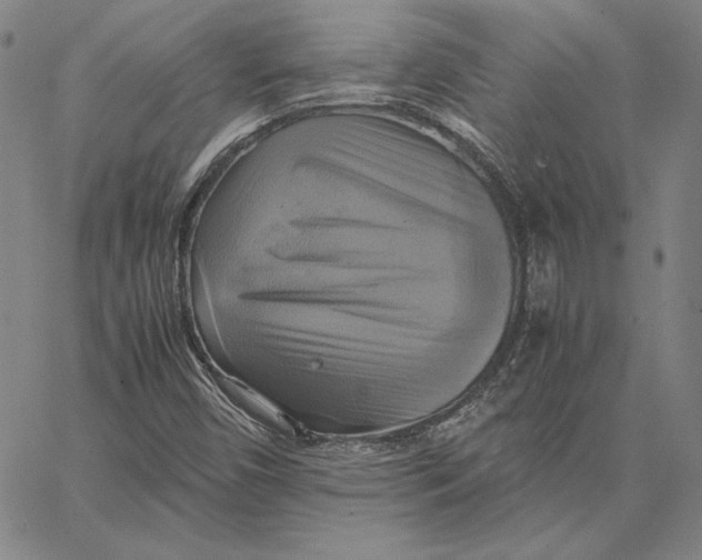 X0000066521450200604071540