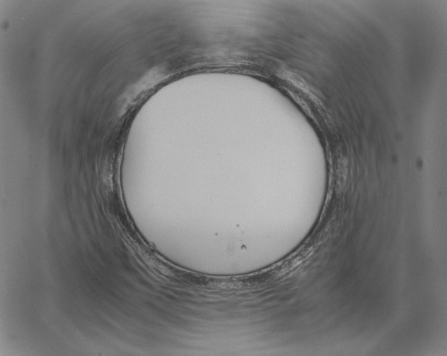 X0000066521451200604071540