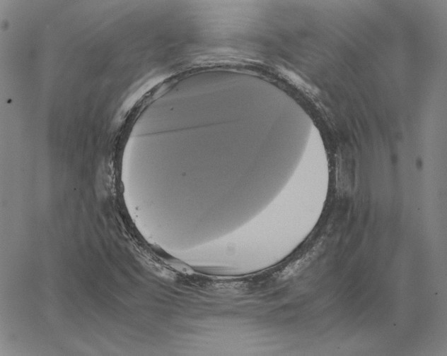 X0000066521453200604071540