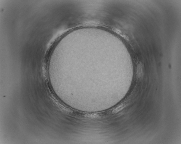 X0000066521454200604071540