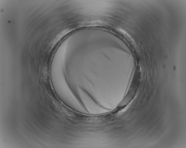 X0000066521457200604071540