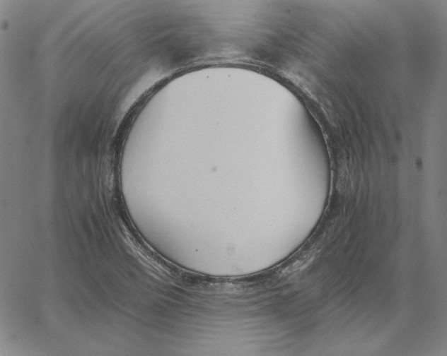 X0000066521458200604071540