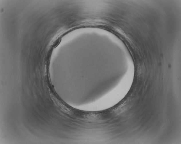 X0000066521459200604071540