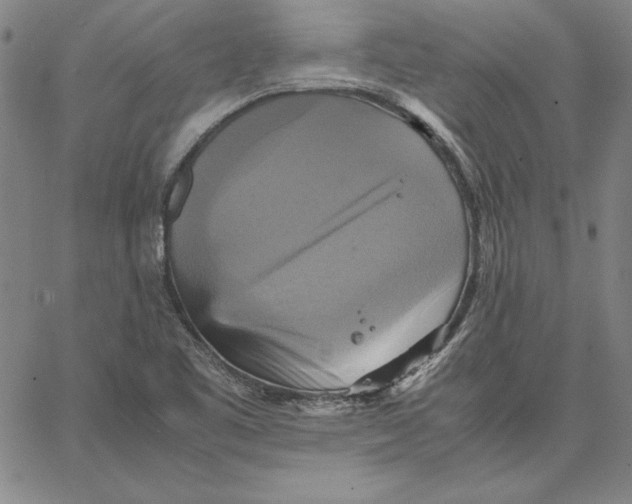 X0000066521461200604071540