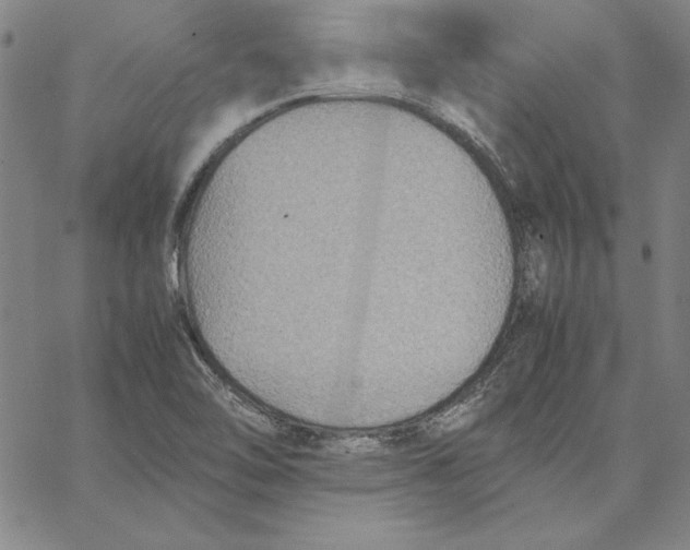 X0000066521462200604071540