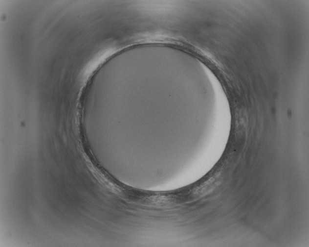 X0000066521463200604071540