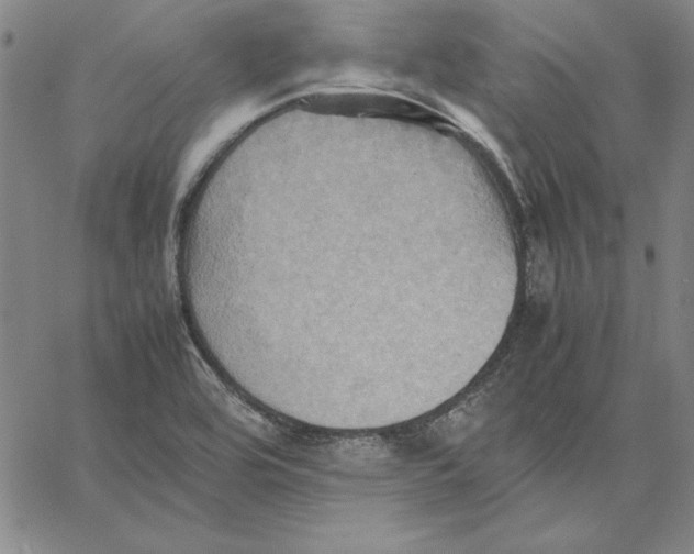 X0000066521464200604071540