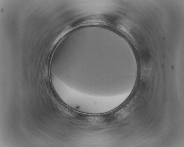 X0000066521465200604071540