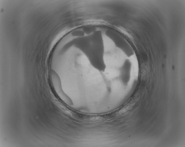 X0000066521467200604071540