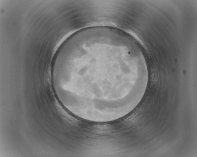 X0000066521468200604071540