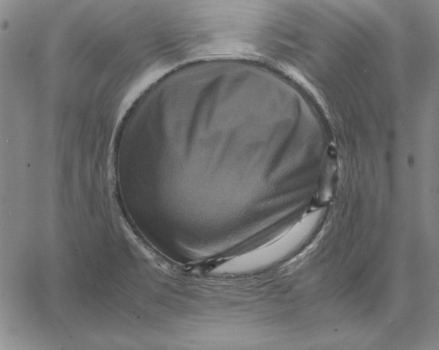 X0000066521469200604071540