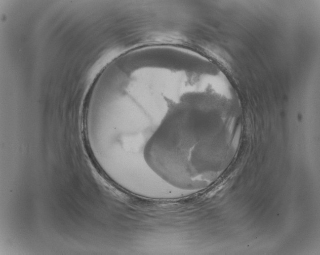 X0000066521471200604071540