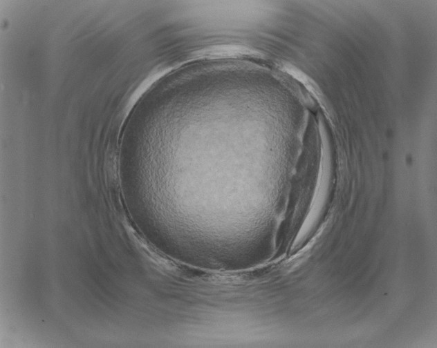 X0000066521473200604071540