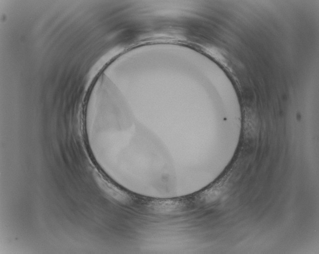 X0000066521474200604071540