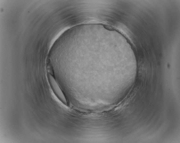 X0000066521476200604071540