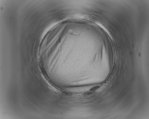 X0000066521477200604071540