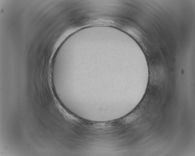 X0000066521478200604071539