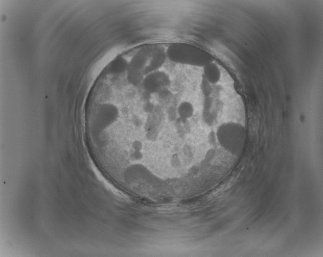 X0000066521479200604071539