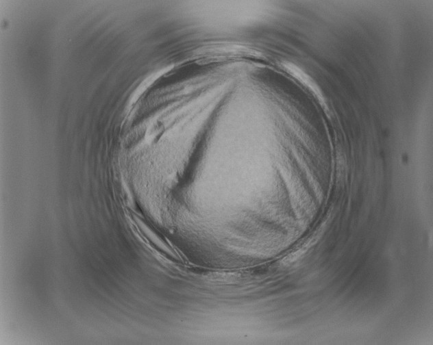 X0000066521481200604071539