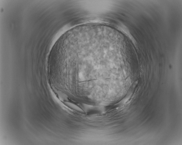 X0000066521483200604071539