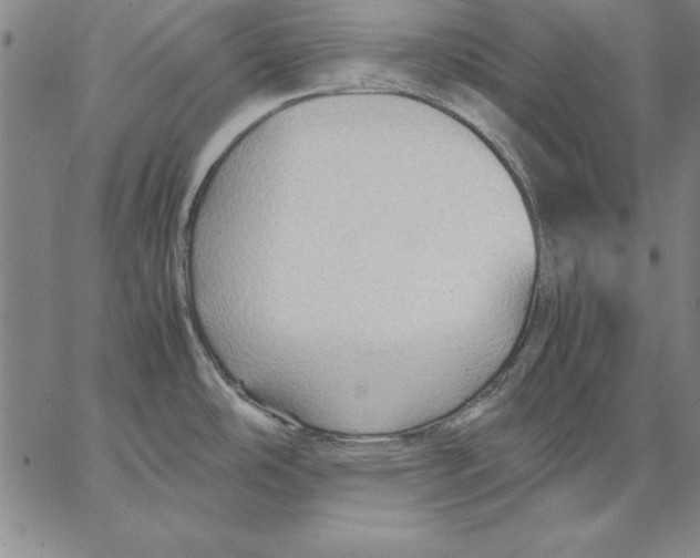 X0000066521486200604071539