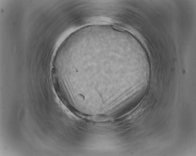 X0000066521488200604071539