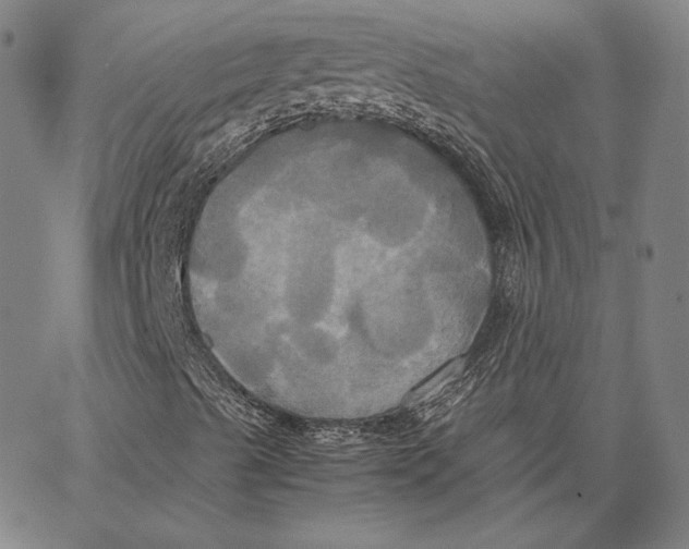 X0000066521489200604071539