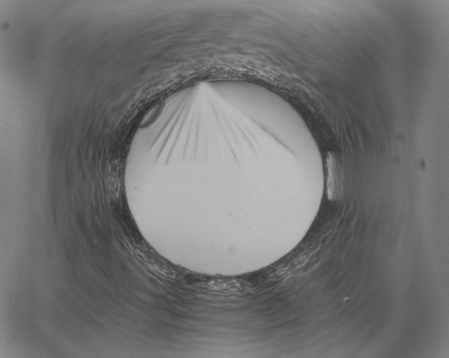 X0000066521491200604071539