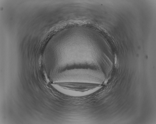 X0000066521492200604071539