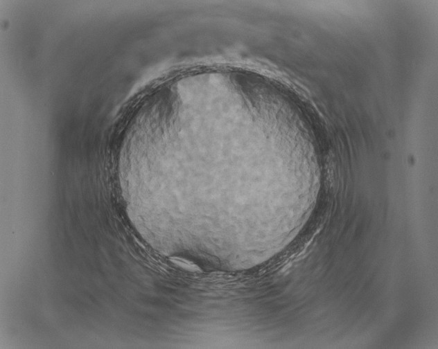 X0000066521494200604071539