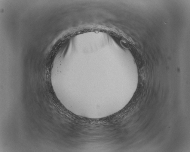 X0000066521495200604071539