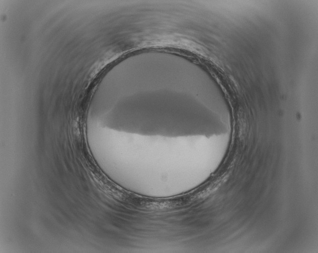 X0000066521497200604071539