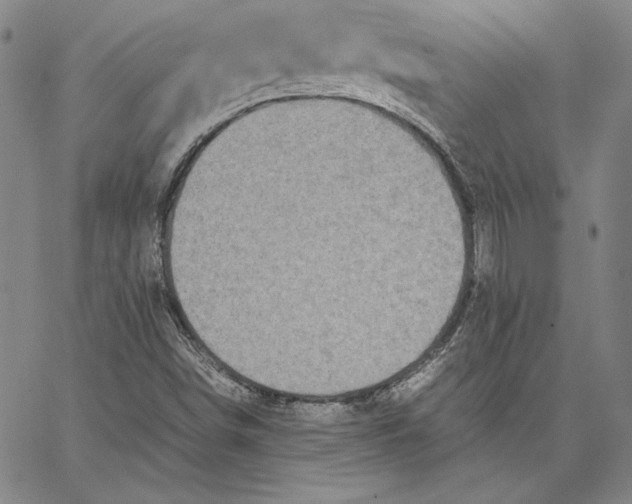 X0000066521498200604071539