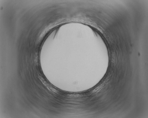 X0000066521499200604071539