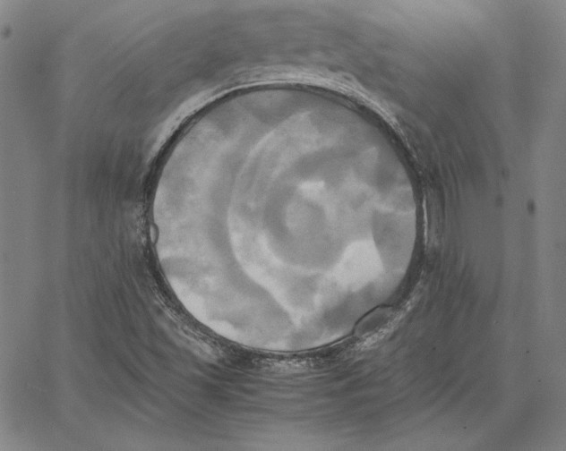 X0000066521501200604071539