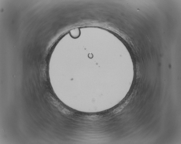 X0000066521502200604071539