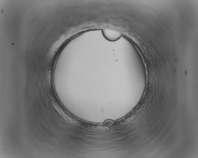 X0000066521503200604071539