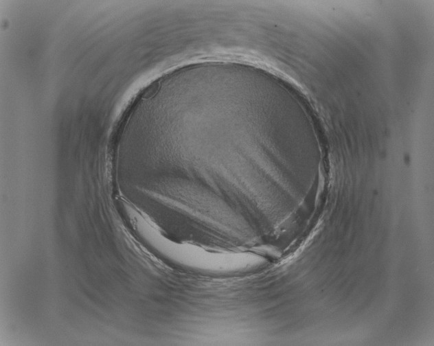 X0000066521506200604071539