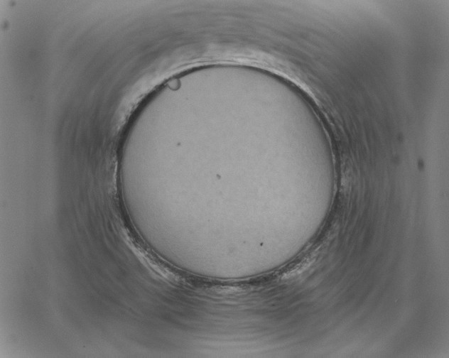 X0000066521507200604071539