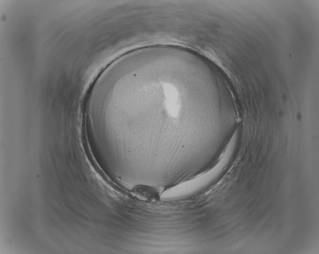 X0000066521508200604071539