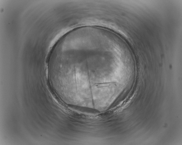 X0000066521509200604071539