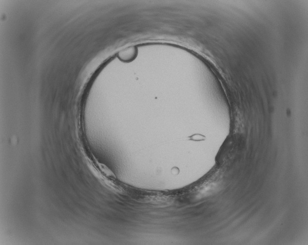 X0000066521511200604071539