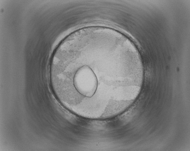 X0000066521514200604071539