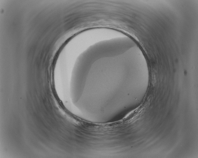 X0000066521515200604071539