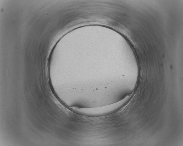 X0000066521516200604071539