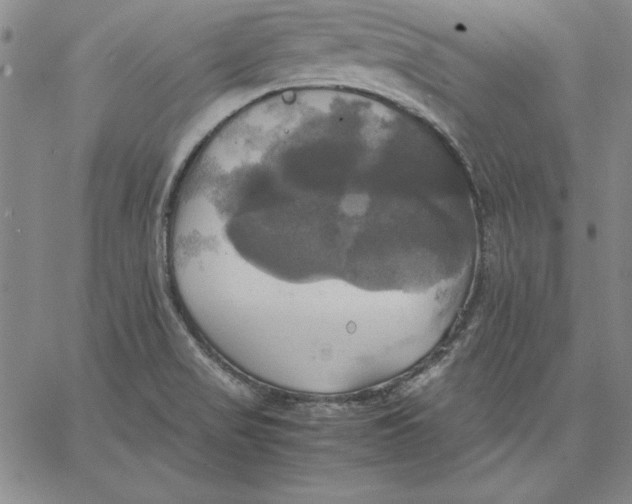 X0000066521517200604071539