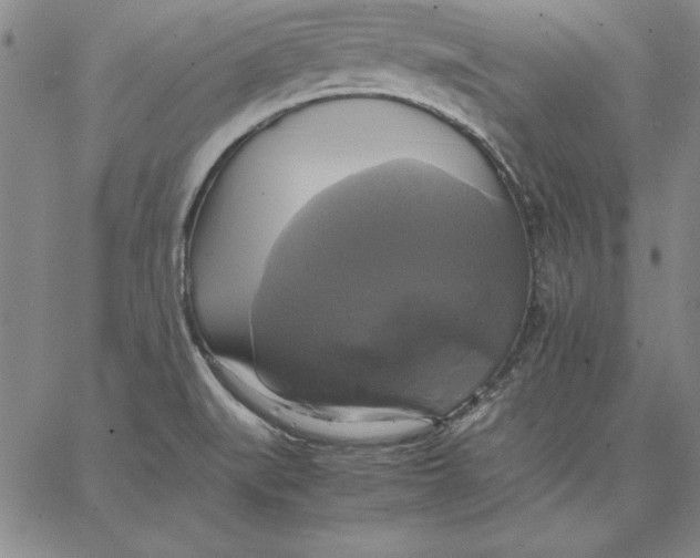 X0000066521519200604071539