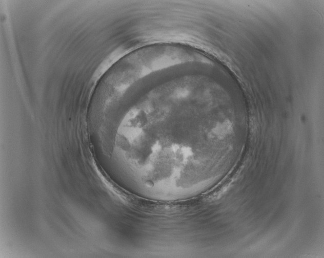 X0000066521521200604071539