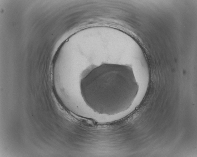 X0000066521522200604071539